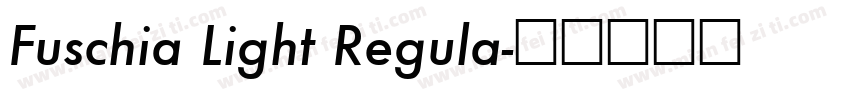 Fuschia Light Regula字体转换